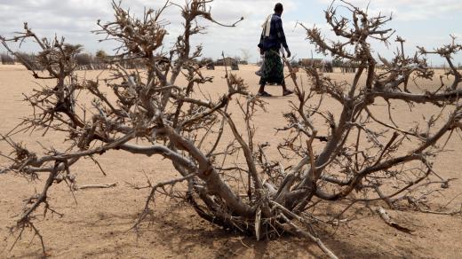 Smrtící past způsobená kombinací klimatické změny  a ozbrojeného konfliktu mění život v některých částech Somálska na zápas o přežití